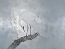 Kraanvogel in verweerd zilver, schilderij van een kraanvogel, oosterse stijl