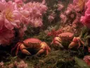 Schilderij van twee krabben tussen roze bloemen onder water