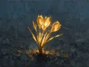 Krokus in goudoker, schilderij van krokus van dichtbij
