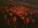 Krokus op de helling in roest, schilderij van krokus