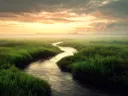 Schilderij van een kronkelende beek door groen moerasland bij zonsondergang