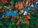 Luchtfoto van een kolkende rivier tussen bomen in herfstkleuren.