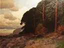 Küstenwald van Rudolf Hellgrewe: landschap