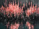 Lavendel aan de oever in koraal, schilderij van lavendel aan de oever