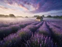 Landschapsfoto van lavendel bij de ochtendmist, met een rieten boerderijwoning tussen de rijen