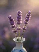 Fotografie van lavendel in het gouden uur, zacht violetpaars