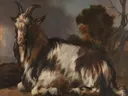 Liggende bok van Jan Weenix: dieren met bok, geit, liggend en boom, in warm bruin en wit