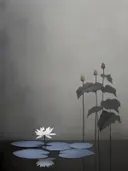 Schilderij van witte lotusbloem in stil water