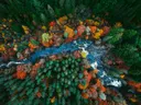 Luchtfoto van een rivier die door een bos met herfstkleuren stroomt.