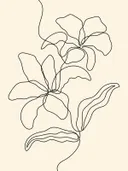 Minimalistische zwarte lijntekening van bloemen en bladeren op een crèmekleurige achtergrond.