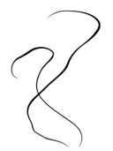 Minimalistische zwarte lijntekening op wit
