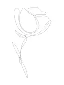 Minimalistische lijntekening van een roos, botanisch schilderij