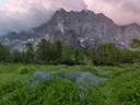 Mistige rotsachtige bergtop met roze wolken boven een weide met paarse bloemen en bomen.