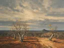 Landschapsschilderij, olijfgaard op rode aarde in late herfst