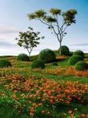 Veld met oranje bloemen en heuvels met bomen en ronde struiken op de achtergrond