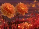Schilderij van oranje dahlia's bij een gloeiende zonsondergang