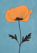 Illustratie van een oranje klaproos op blauwe achtergrond