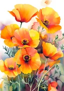 Schilderij van oranje klaprozen in aquarelstijl
