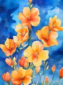 Aquarel van oranje en gele klaprozen op een diepblauwe achtergrond