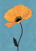 Lijntekening van een oranje papaverbloem
