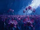 Orchidee in het landschap in violet, schilderij van orchidee