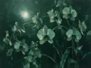 Orchidee in zeegroen, schilderij van orchidee tegen de lucht