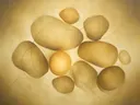 Nevel schilderij, organische vorm in Sahara Goud