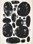Abstracte organische zwarte vormen