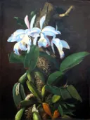 Orquídeas van Estêvão Silva: stilleven met bloemen