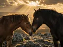 Paard een teder moment, een rotsachtig hoogland, lichtbundels door de wolken