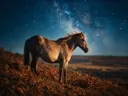 Paard en profil, een varenhelling, een heldere sterrenhemel