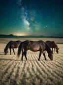 Paard in het veld, een goudkleurig stoppelveld, een heldere sterrenhemel
