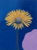 Schilderij van paardenbloem in kobalt en saffraan, in vlakke kleurvlakken