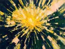Paardenbloem van dichtbij in geel en donkerblauw, botanisch schilderij