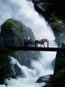 Paard met koets en passagiers steekt een brug over voor een grote waterval.