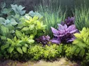 Schilderij van een tuinborder met paarse bladplanten