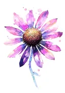 Paarse zonnehoed aquarel, botanisch schilderij