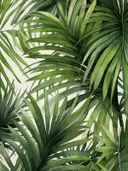 Close-up van een waaiervormig groen palmblad.