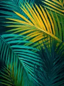 Botanisch schilderij van palmbladeren in teal en goudkleuren