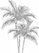 Potloodtekening van drie palmbomen met uitwaaierende bladeren