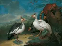 Parelhoenders en een neusbeer van Philipp Ferdinand de Hamilton: dieren