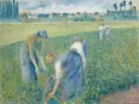 Paysannes travaillant dans les champs, Pontoise, 1881 van Camille Pissarro: figuren met boerinnen, veld, werk en gras, in fris groen en blauw