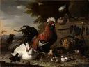 Peace in the henhouse 1668 van Melchior d'Hondecoeter: dieren met haan, kippen, kuikens en erf, in warm bruin met rood