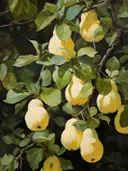 Schilderij van rijpe peren aan de boom in klassieke stijl