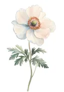 Botanische aquarel van een perzikkleurige anemoon