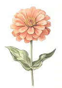 Aquarelschilderij van een perzikkleurige bloem met gele kern