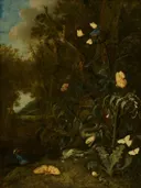 Planten en insekten van Otto Marseus van Schrieck: bloemen met planten, vlinders, distel en paddenstoel, in donker met wit en groen