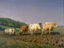 Ploegen in de Nivernais van Rosa Bonheur: dieren met ossen, ploegen, akker en boeren, in wit en bruin op groen