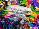 Kleurrijke pop-art adelaarskop