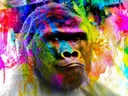 Kleurrijke pop-art gorilla